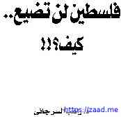 صورة غلاف فلسطين لن تضيع كيف